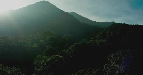 Cinematic Drone View of Sunlight Rays Over Tropical Mountain Forest Stock Footage 329656936
