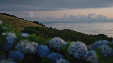 Cinematic Dusk View of the Atlantic Ocean Over Lush Green Hills and Blue 库存影片 335142243