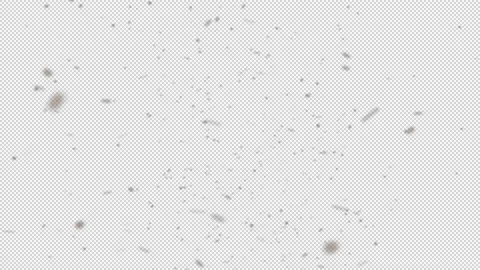 Cinematic DustFX 003 Stock-Footage 201103023