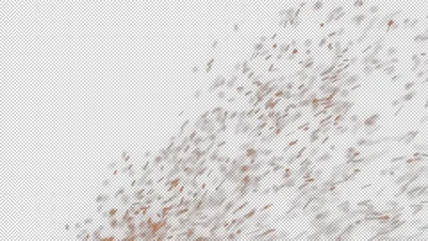 Cinematic DustFX 017 Stock Footage 201102953