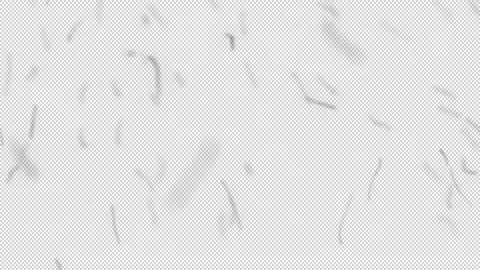 Cinematic DustFX 024 Stock Footage 201103024