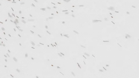 Cinematic DustFX 033 Stock Footage 201103026
