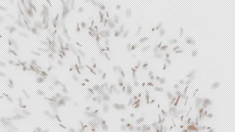 Cinematic DustFX 040 Видео 201102962