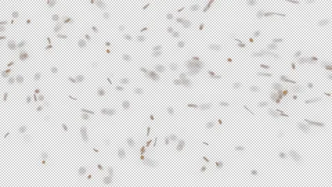 Cinematic DustFX 041 스톡 동영상 201102969