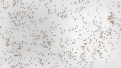 Cinematic DustFX 045 Stock Footage 201102960