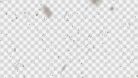 Cinematic DustFX 052 Stock Footage 201102959