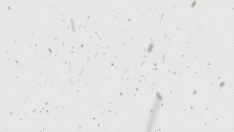 Cinematic DustFX 065 스톡 동영상 201102970