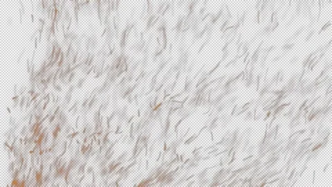 Cinematic DustFX 070 Stock Footage 201102940