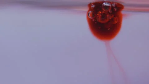 Cinematic Extreme Macro Drops of Clotted Blood in medical Liquid Water Stock Footage 169524911