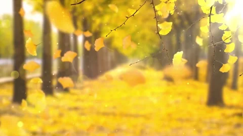 Cinematic Fall Background with Wind Blown Leaves Stock Footage 346195682