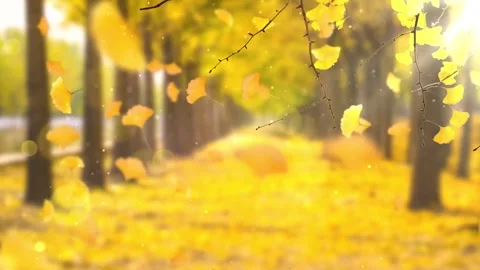 Cinematic Fall Background with Wind Blown Leaves Stock Footage 346195689