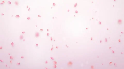 Cinematic falling pink rose petals on soft background loop Stockbeeldmateriaal 345343950