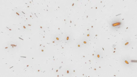 Cinematic Fire Particles Overlay Stock-Footage 310291805