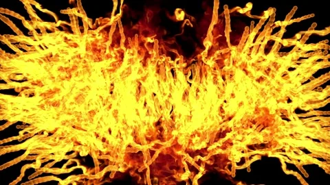 Cinematic Fire Shockwave Explosion with Powerful Blast Wave 스톡 동영상 344116293