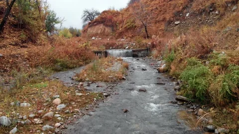 Cinematic flight over mountain river in autumn. Mountainous areas with cascading Stock Footage 228364443