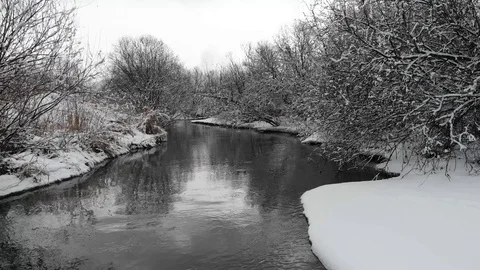 Cinematic flight over a pine forest covered with snow Stock Footage 126837972