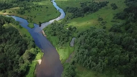 A cinematic flight over the river during the day. River Forest and Clouds 库存影片 248530559