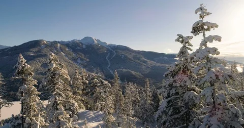 Cinematic Flight Through Snow Covered Trees At Sunset With Views Of A Ski Resort Vidéo 100474035