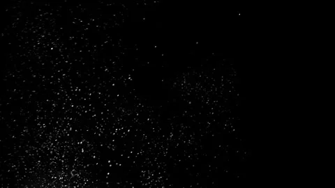 Cinematic Floating Dust Particles Overlay on Black Background 4K 库存影片 341146494