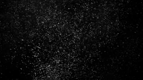 Cinematic Floating Dust Particles Overlay on Black Background 4K Video stock 341146591