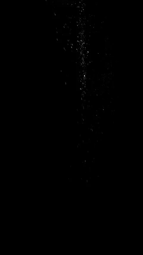 Cinematic Floating Dust Particles Overlay on Black Background 4K Video stock 341146804