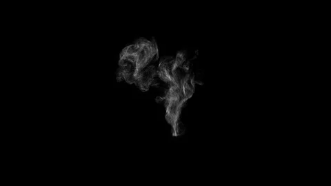 Cinematic Floating Dust Particles Overlay on Black Background 4K Stock Footage 341151348