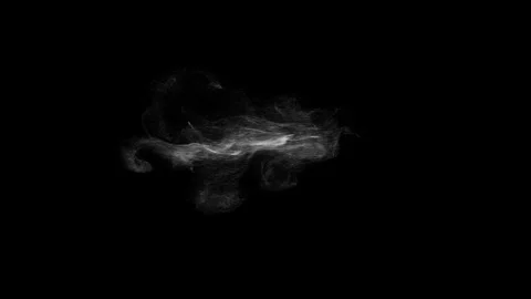 Cinematic Floating Dust Particles Overlay on Black Background 4K 스톡 동영상 341151594