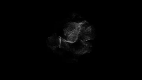 Cinematic Floating Dust Particles Overlay on Black Background 4K Video stock 341151620