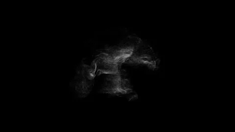 Cinematic Floating Dust Particles Overlay on Black Background 4K Stock Footage 341151643