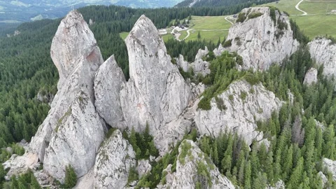 Cinematic Flyover of Ancient Rock Formations Surrounded by Pine Forests Vídeos de archivo 314235847