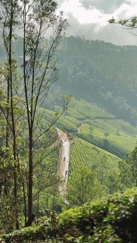 Cinematic Focus Pull on Mountain Road With Motorcycle Moving Through Green Hills Stock Footage 327774051