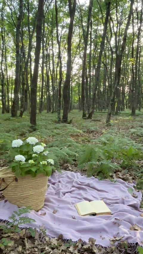Cinematic Forest Picnic with Open Book and Hydrangea Flower Basket, vertical 4K 스톡 동영상 337586470