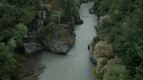 Cinematic forest river Stock Footage 140611094