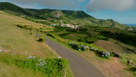 Cinematic Forward-Moving Aerial Drone Shot of a Winding Rural Road Flanked by Vidéo 336029949