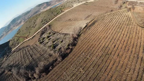 Cinematic FPV Drone Circle Descent Over Vineyards in Macedonia Video stock 327931022