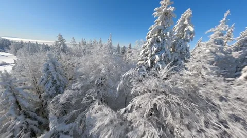 Cinematic FPV drone flight close to the snow-covered trees in a winter forest.. Stock Footage 253471847