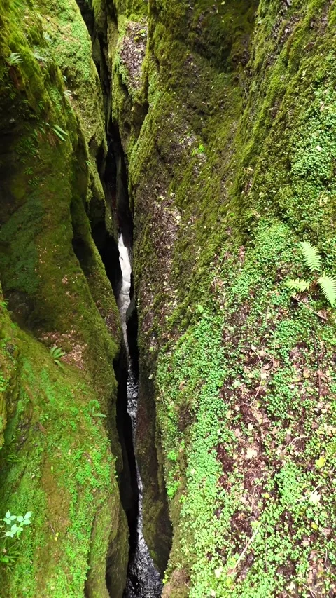 Cinematic FPV Drone Flight Inside Black Rock Gorge, Scotland Stock Footage 330660194