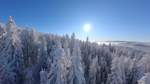 Cinematic FPV drone flight over snowy mountain forest. Stock Footage 255989778