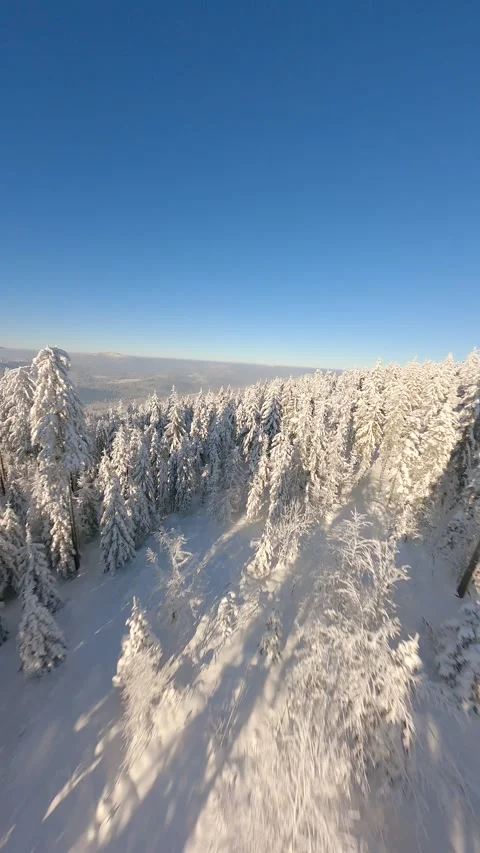 Cinematic FPV drone flight over beautiful snowy mountain forest. Stock Footage 256133586