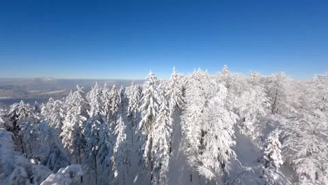Cinematic FPV drone flight over beautiful snowy mountain forest. Stock Footage 256134186