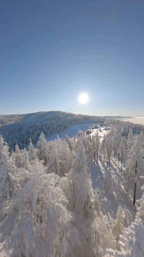 Cinematic FPV drone flight over beautiful snowy mountain forest. Stock Footage 258111308