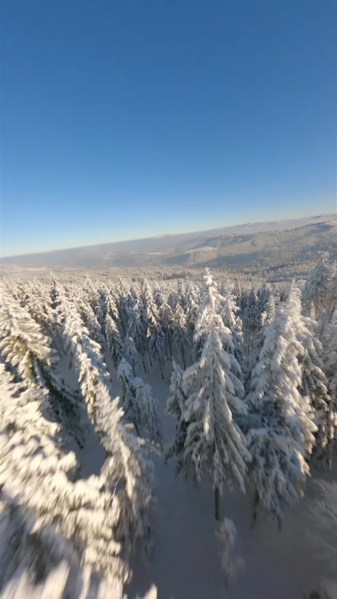 Cinematic FPV drone flight over beautiful snow-covered mountain forest. Stock Footage 259816506