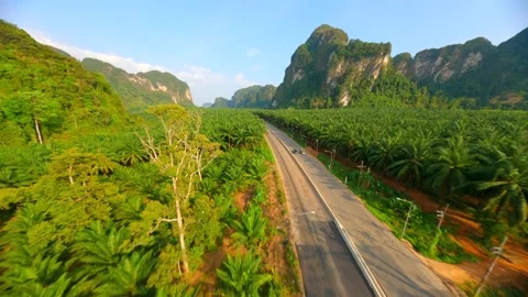 Cinematic FPV drone flight over scenic road in Krabi Province, Thailand Stock Footage 268976642