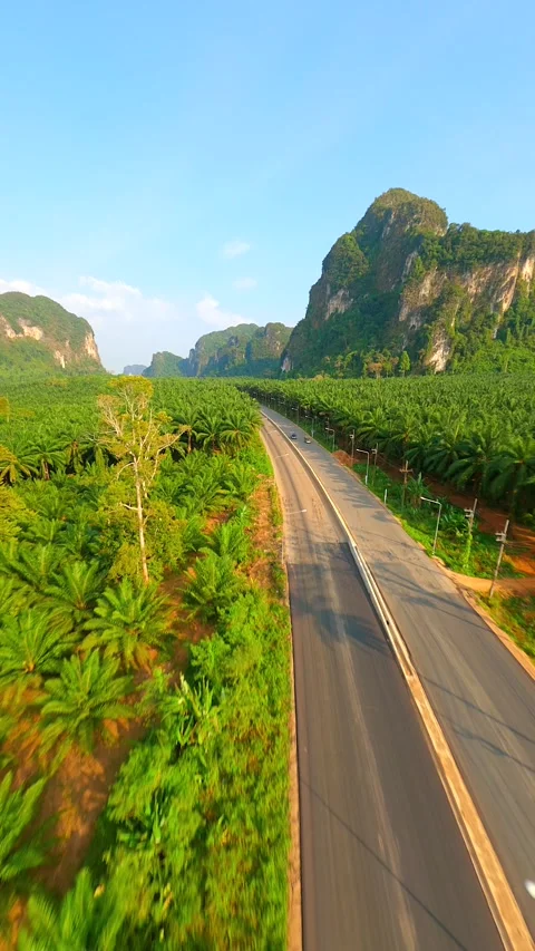 Cinematic FPV drone flight over scenic road in Krabi Province, Thailand Stock Footage 268976676