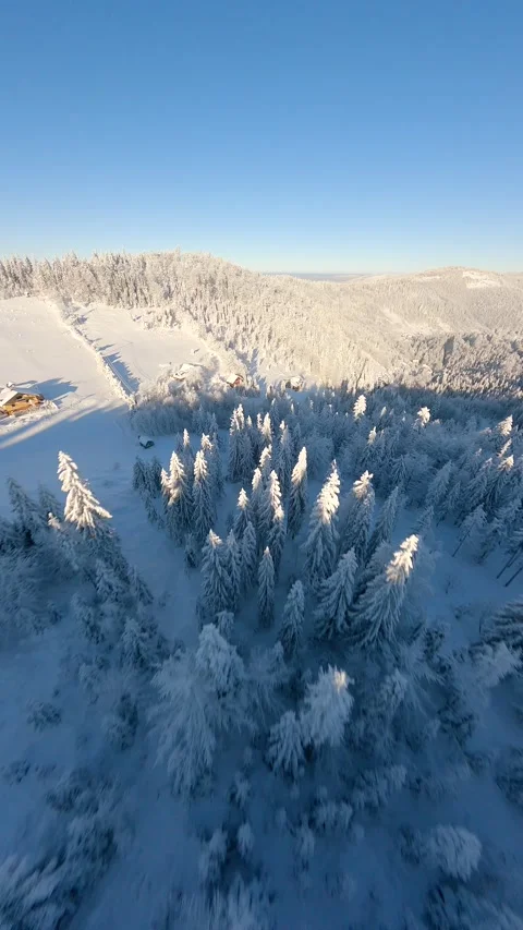 Cinematic FPV drone flight over beautiful snow-covered winter mountain forest. Stock Footage 288096678