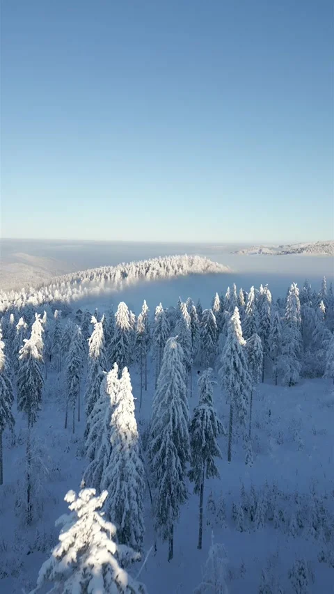 Cinematic FPV drone flight over beautiful snow-covered winter mountain forest. Stock Footage 288968361