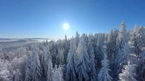 Cinematic FPV drone flight over snow-covered trees in winter mountain forest. Stock Footage 293461657
