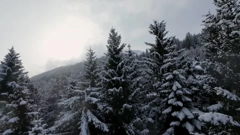 Cinematic FPV Drone Flight Over Snow Covered Pines Alps, 4K Stock Footage 323463754