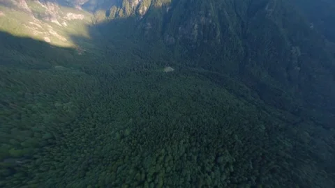 Cinematic FPV drone flight over dense forest valley in Rila Mountain, Bulgaria. 库存影片 341574422