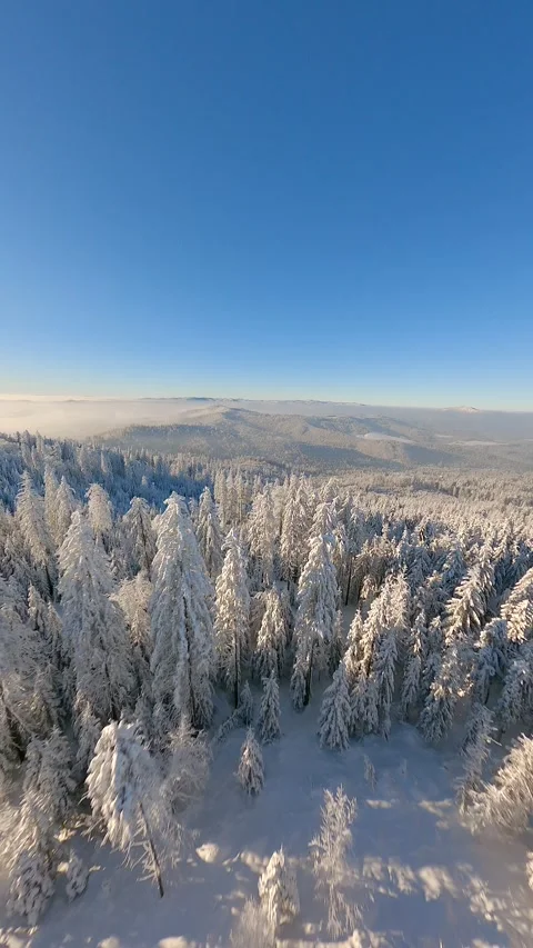 Cinematic FPV drone flight overt beautiful snow-covered winter mountain forest. Stock Footage 259493930